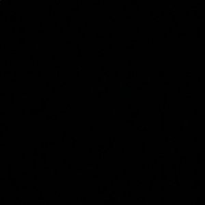 Meet your Posher, Shaina